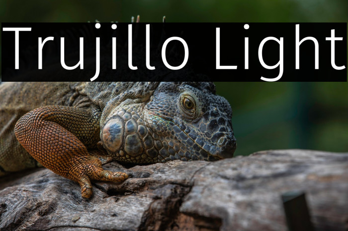 Trujillo Light Example 3