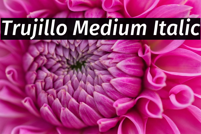Trujillo Medium Italic Example 2