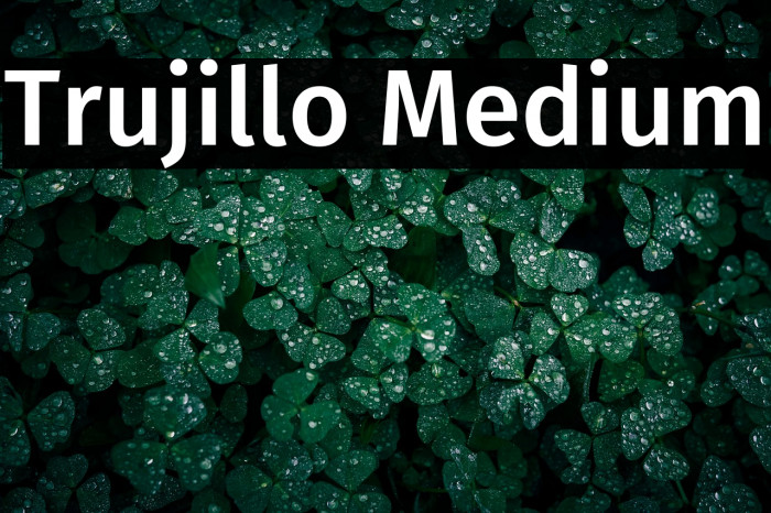 Trujillo Medium Example 2