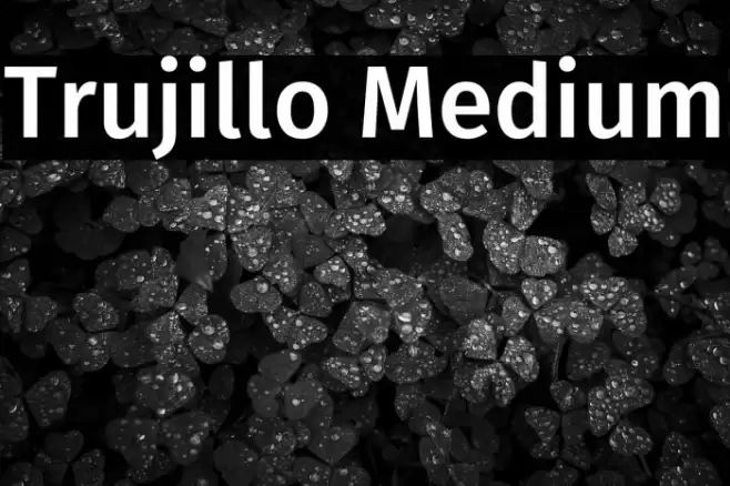 Trujillo Medium Font examples