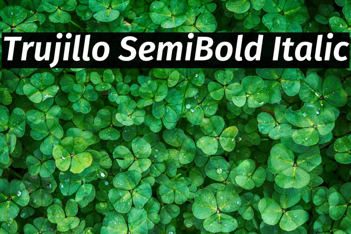 Trujillo SemiBold Italic Example 1
