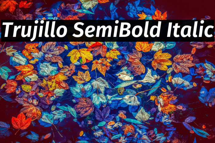 Trujillo SemiBold Italic Example 3