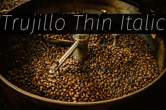 Trujillo Thin Italic Example 1