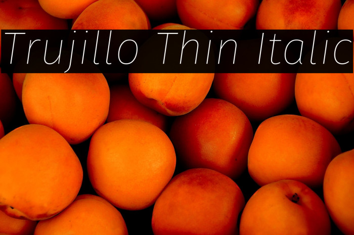 Trujillo Thin Italic Example 2