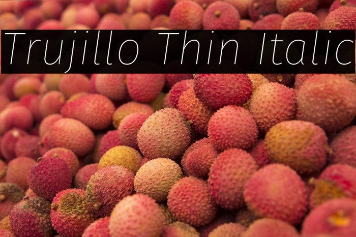 Trujillo Thin Italic Example 3