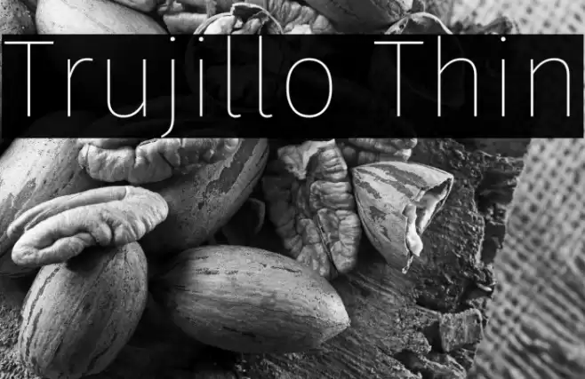 Trujillo Thin Font examples