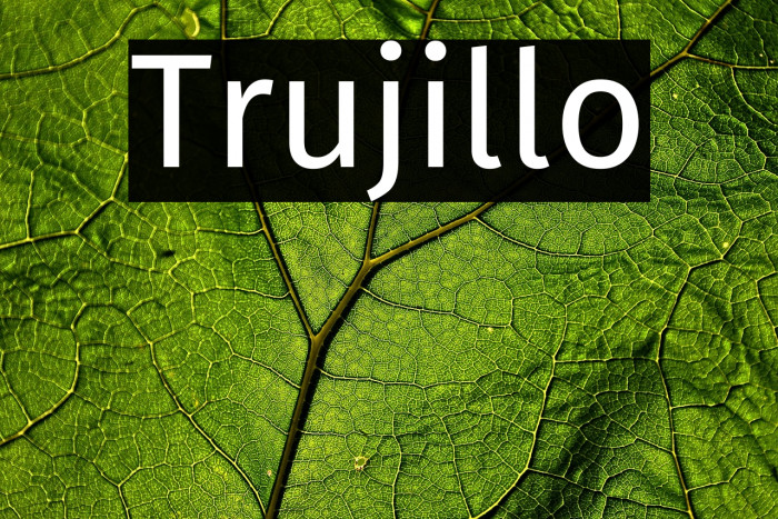 Trujillo Example 1