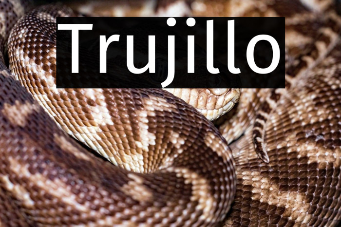 Trujillo Example 3