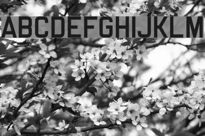 Truly Madly Dpad Font examples