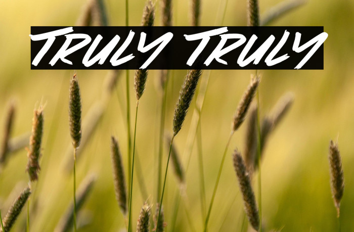 Truly Truly Example 1