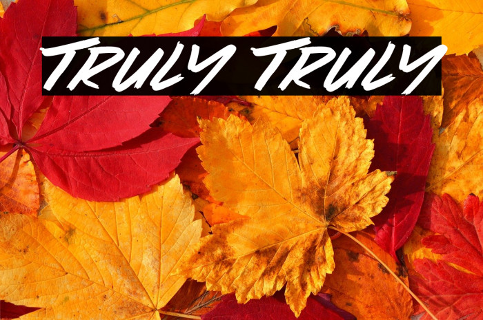 Truly Truly Example 3