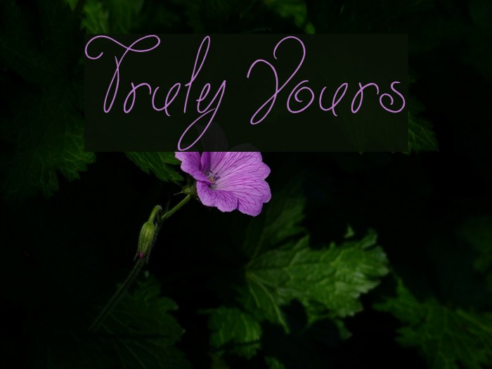 Truly Yours Font examples
