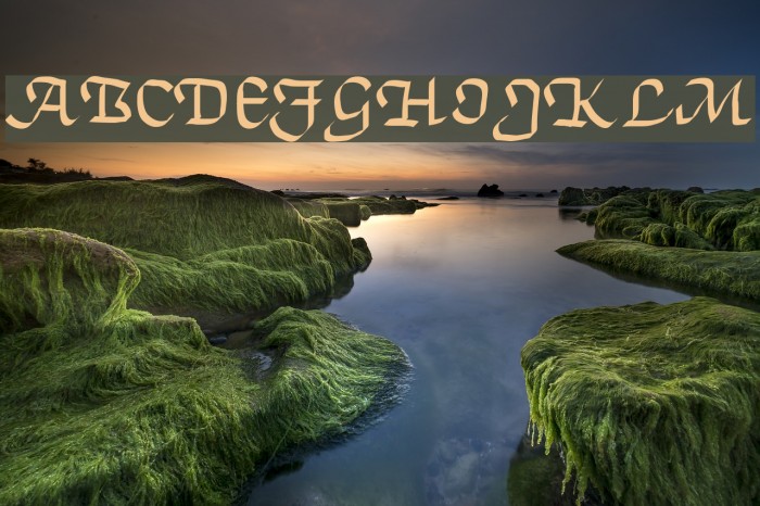 TrumanScript Font examples