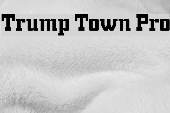 Trump Town Pro Font examples