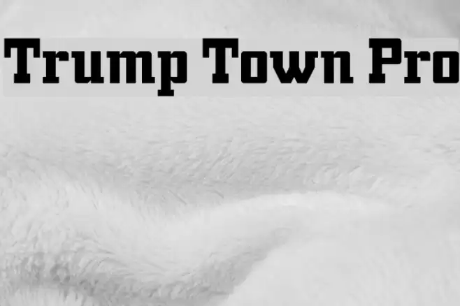 Trump Town Pro Font examples