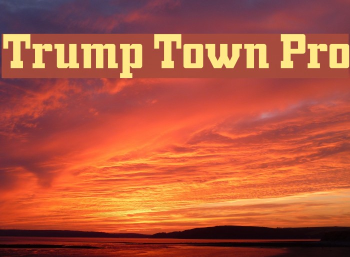 Trump Town Pro Font examples