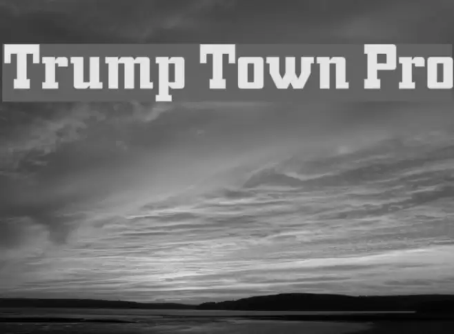 Trump Town Pro Font examples