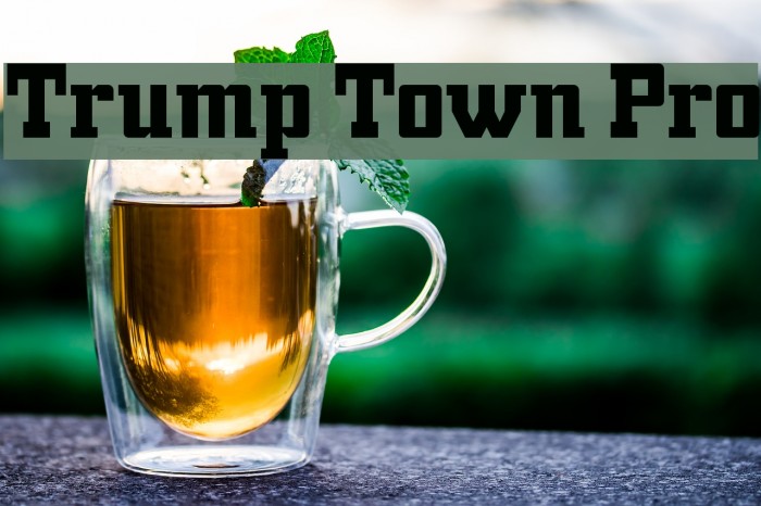 Trump Town Pro Font examples