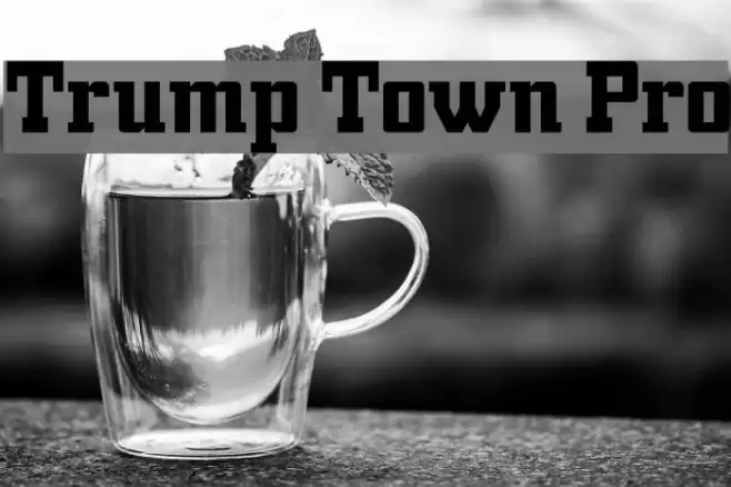 Trump Town Pro Font examples