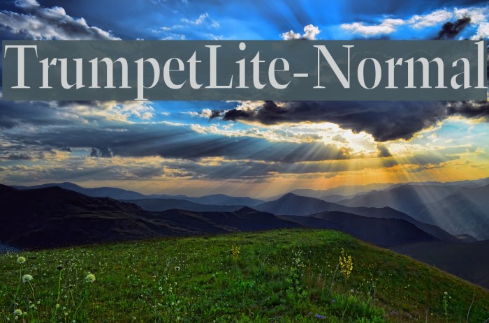 TrumpetLite-Normal Font examples