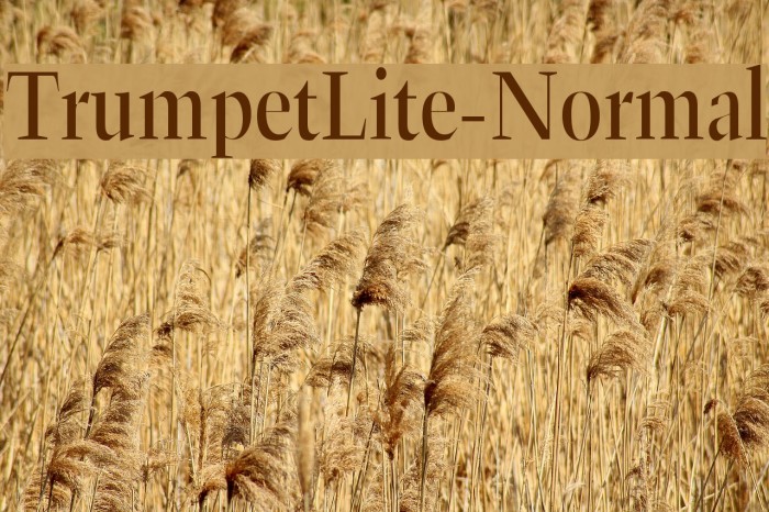 TrumpetLite-Normal Font examples