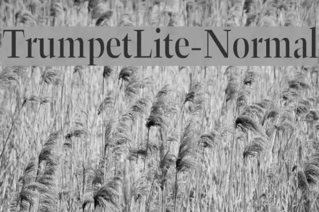 TrumpetLite-Normal Font examples