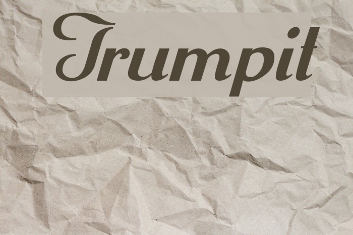 Trumpit Example 1