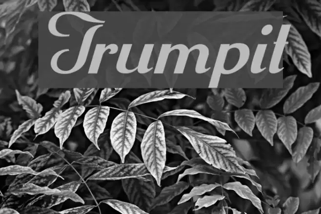 Trumpit Font examples