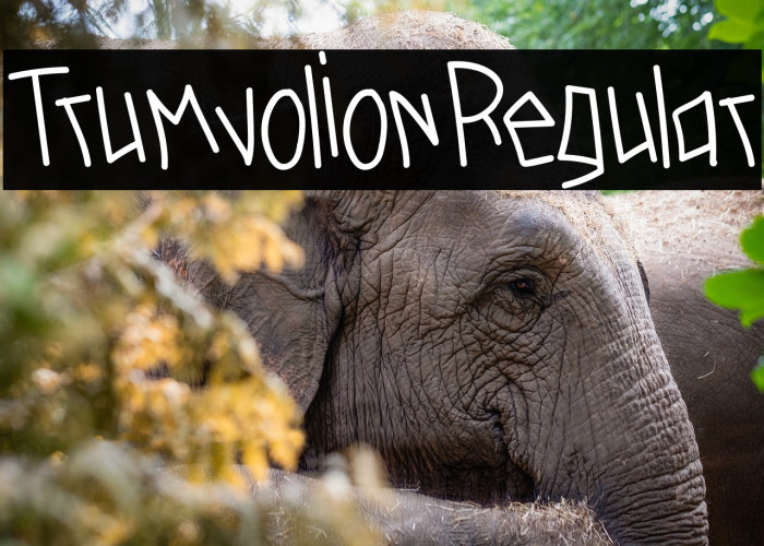 TrumvolionRegular Example 1