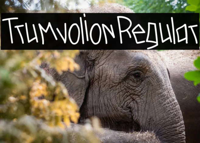 TrumvolionRegular Example 1