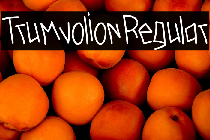 TrumvolionRegular Example 3