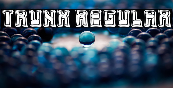 Trunk Regular Example 1