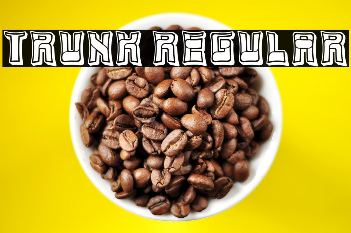 Trunk Regular Example 2