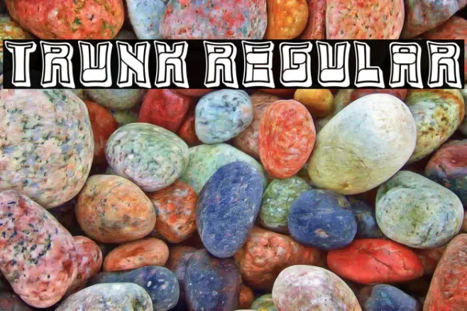 Trunk Regular Example 3