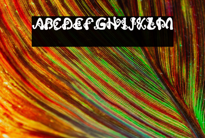 Trunk Up Regular Example 1