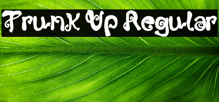 Trunk Up Regular Example 1