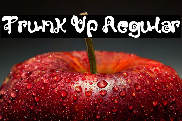 Trunk Up Regular Example 2