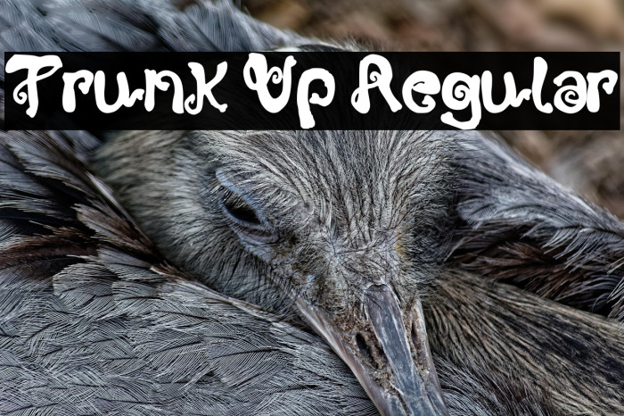 Trunk Up Regular Example 3