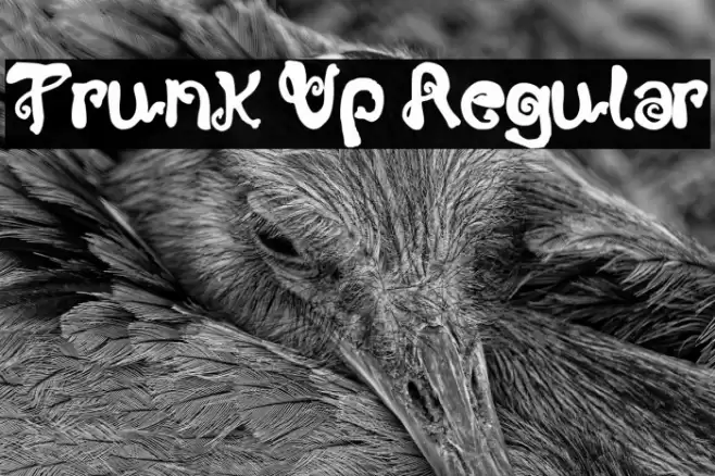 Trunk Up Regular Font examples