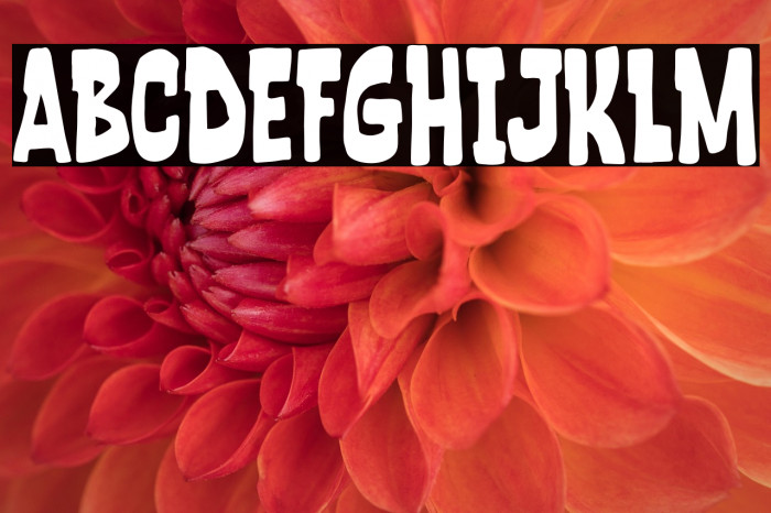 Trust Issue Example 3