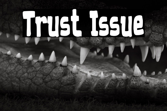 Trust Issue Example 1
