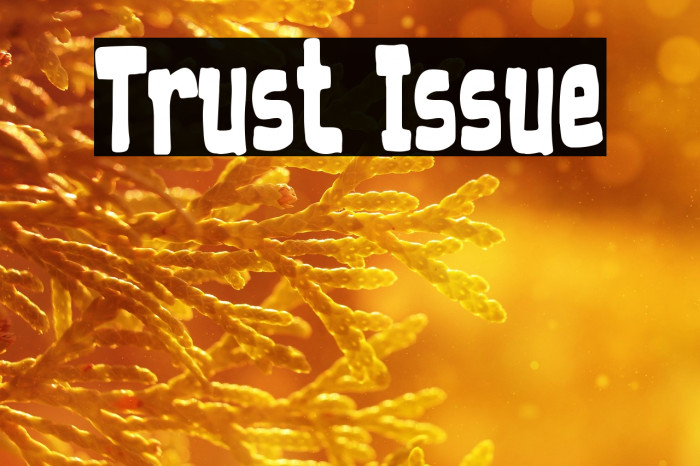 Trust Issue Example 3