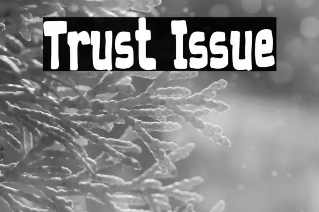 Trust Issue Font examples