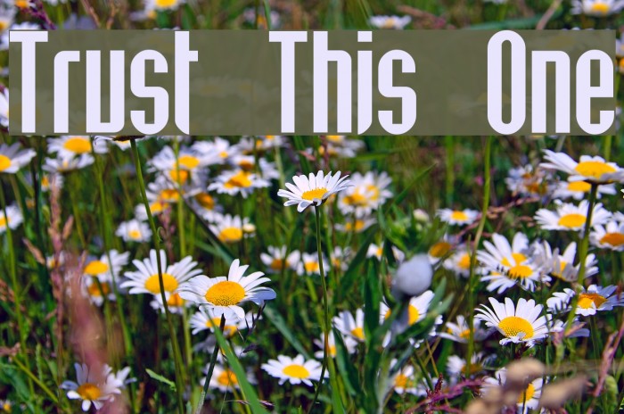 Trust This One Font examples