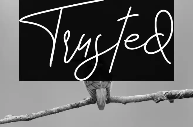 Trusted Font examples