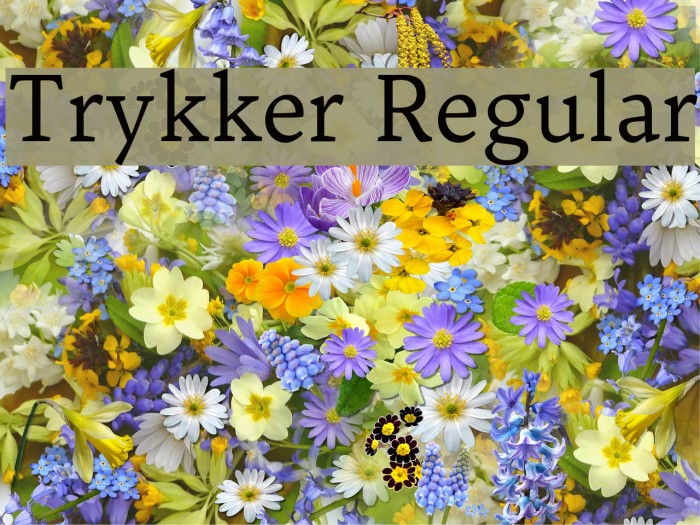 Trykker Regular Font examples