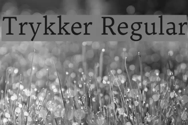 Trykker Regular Font examples