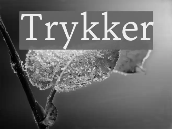 Trykker Font examples