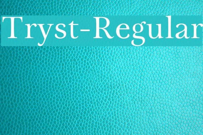 Tryst-Regular Font examples