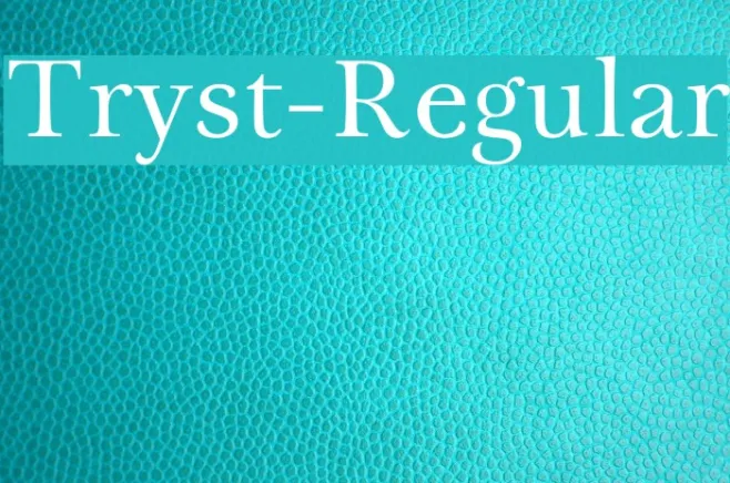 Tryst-Regular Example 3